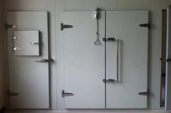 雙開(kāi)半埋冷庫(kù)門(mén)