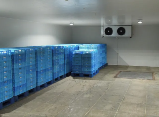 海鮮速凍冷庫建造成本 海鮮速凍冷庫建造成本