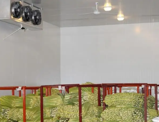 南京果蔬保鮮庫 南京果蔬保鮮庫