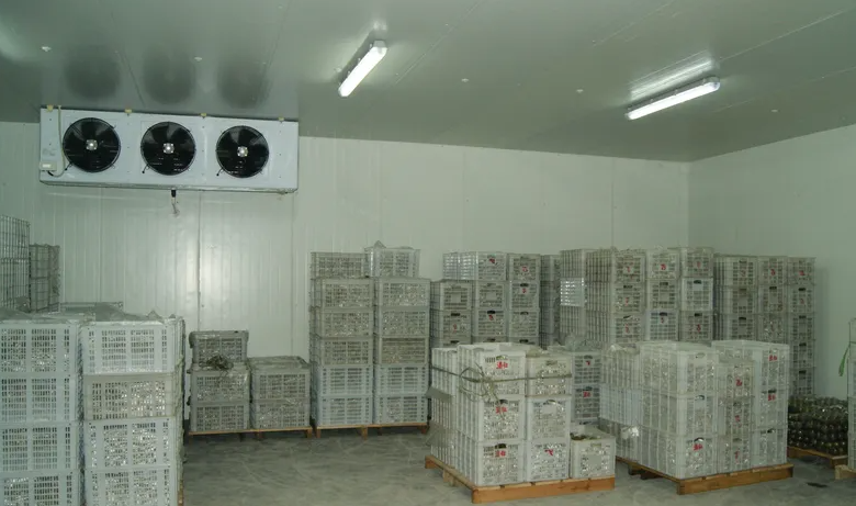 毛豆冷庫 毛豆冷庫