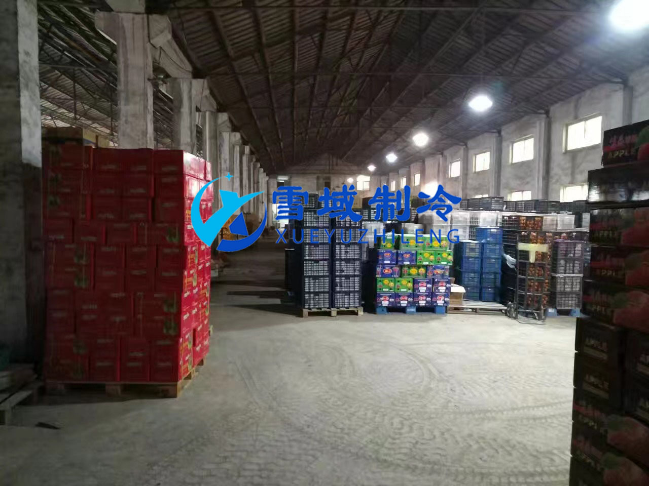 南京某水果公司水果冷庫現(xiàn)場圖片 南京某水果公司水果冷庫現(xiàn)場圖片