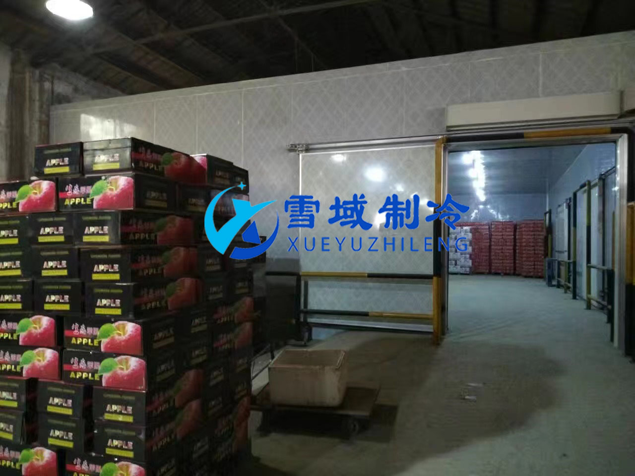 南京某水果公司水果冷庫現(xiàn)場圖片 南京某水果公司水果冷庫現(xiàn)場圖片
