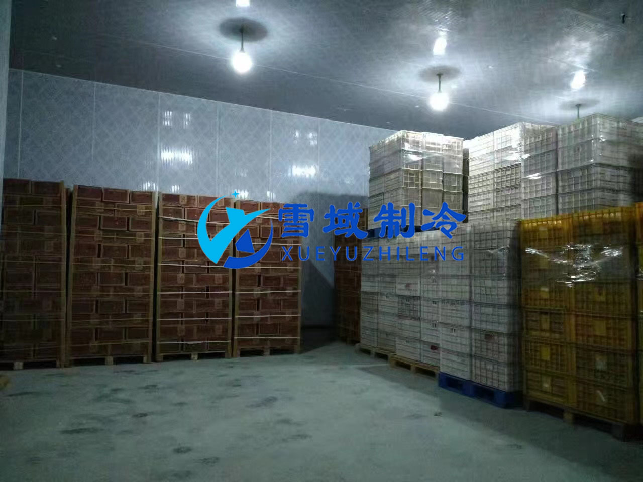 南京某水果公司水果冷庫現(xiàn)場圖片 南京某水果公司水果冷庫現(xiàn)場圖片