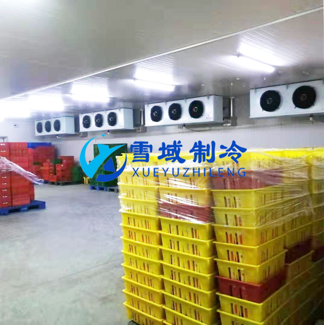 徐州衛(wèi)崗速凍冷庫現(xiàn)場圖片 徐州衛(wèi)崗速凍冷庫現(xiàn)場圖片