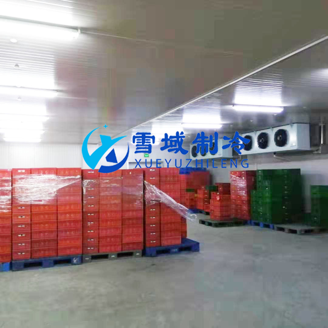 徐州衛(wèi)崗速凍冷庫現(xiàn)場圖片 徐州衛(wèi)崗速凍冷庫現(xiàn)場圖片