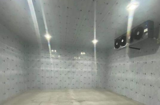 建造一個(gè)冷庫預(yù)計(jì)多少錢一平方