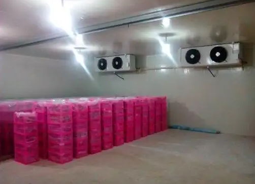 蔬菜保鮮冷庫 蔬菜保鮮冷庫