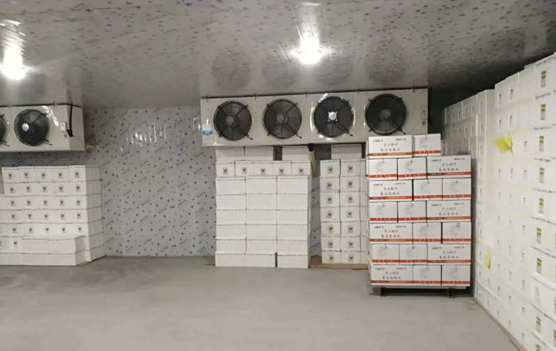 建造200噸的冷庫需要多大面積 建造200噸的冷庫需要多大面積