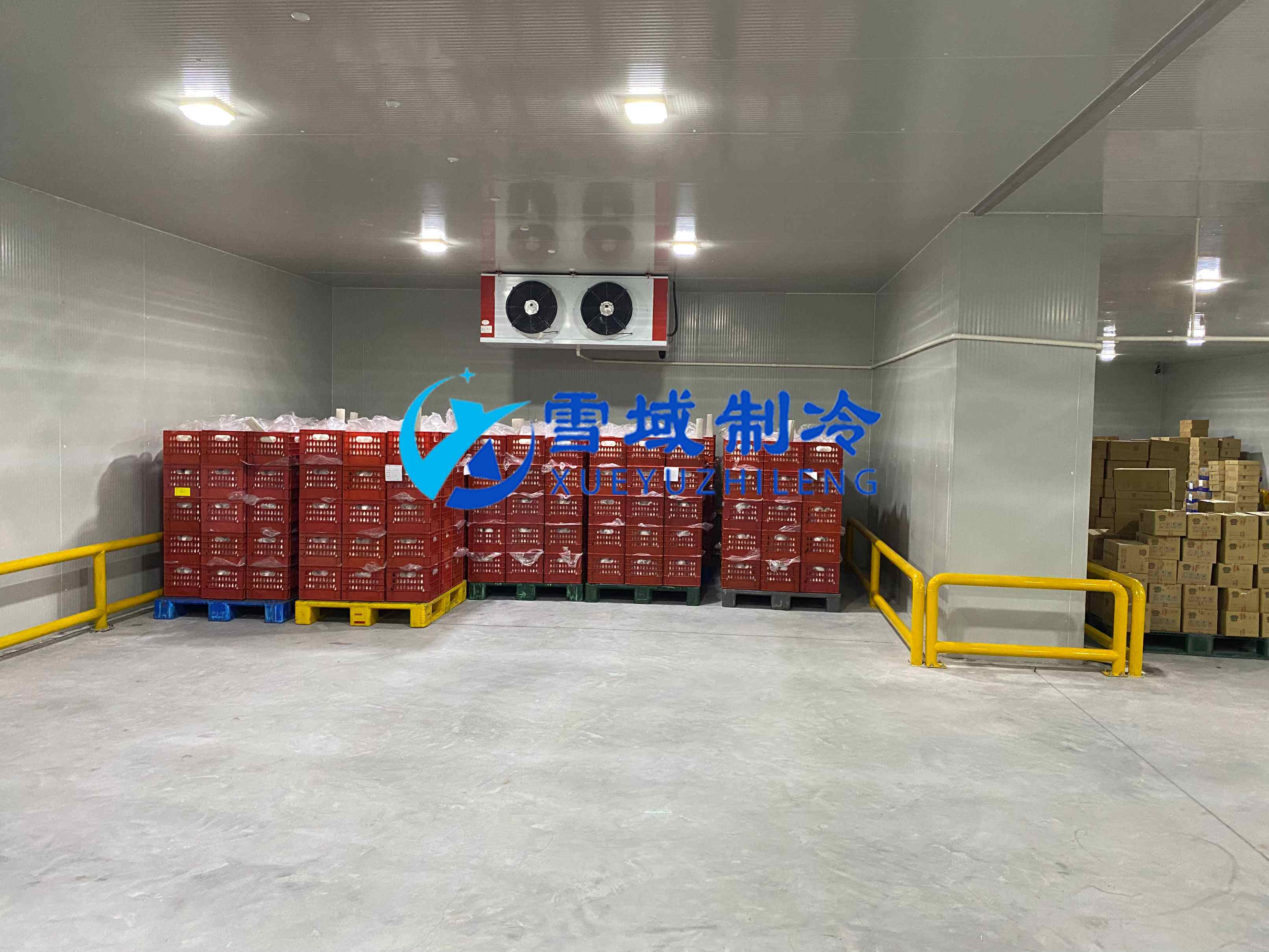 南京江寧速凍乳品冷庫(kù)現(xiàn)場(chǎng)圖片 南京江寧速凍乳品冷庫(kù)現(xiàn)場(chǎng)圖片