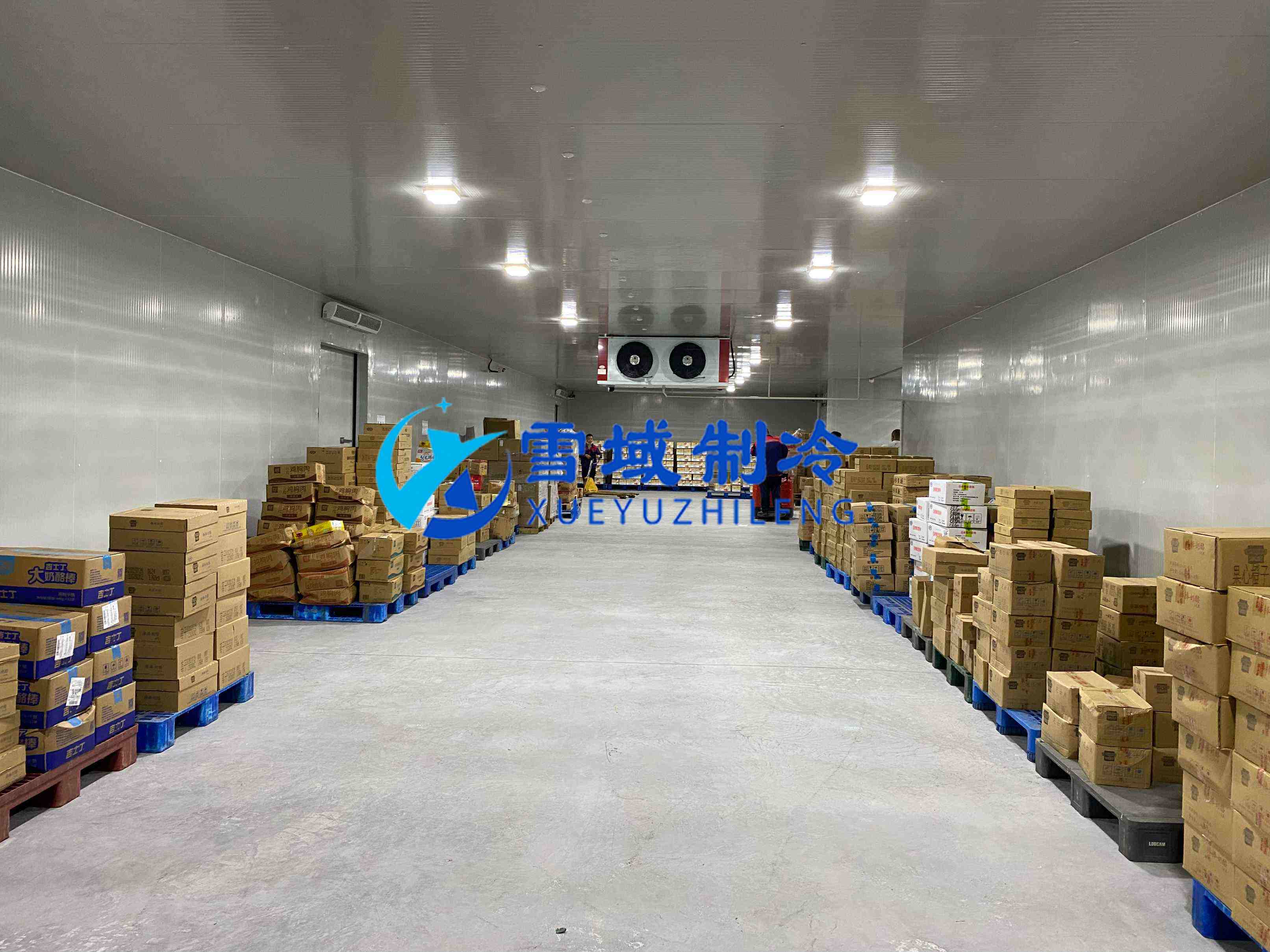 南京江寧速凍乳品冷庫(kù)現(xiàn)場(chǎng)圖片 南京江寧速凍乳品冷庫(kù)現(xiàn)場(chǎng)圖片