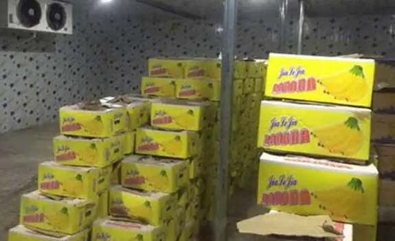 建一個(gè)香蕉冷庫需要花費(fèi)多少成本 建一個(gè)香蕉冷庫需要花費(fèi)多少成本