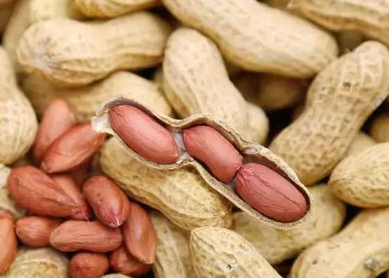 五百立方花生保鮮冷庫造價(jià)多少錢 五百立方花生保鮮冷庫造價(jià)多少錢