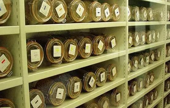 安裝500平米科研種子冷庫費用是多少? 安裝500平米科研種子冷庫費用是多少?