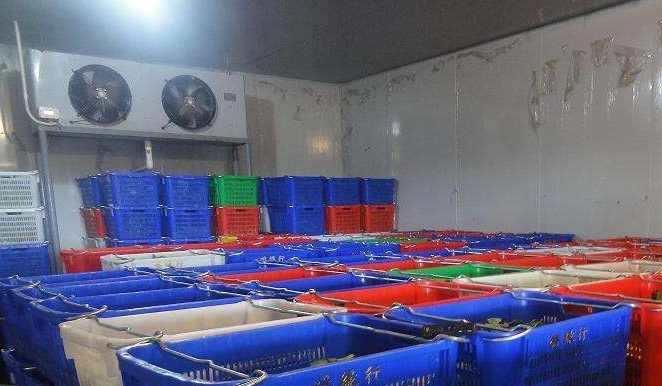 冷庫儲存黃瓜能儲存多長時間 冷庫儲存黃瓜能儲存多長時間