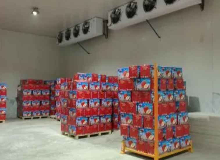 建一個(gè)大型水果保鮮冷庫(kù)一平米需要多少錢