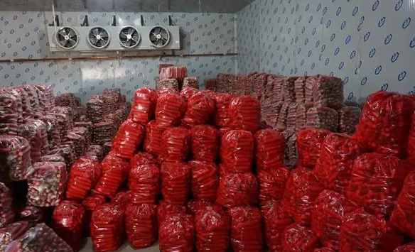 蘿卜保鮮冷庫安裝費用多少錢 蘿卜保鮮冷庫安裝費用多少錢