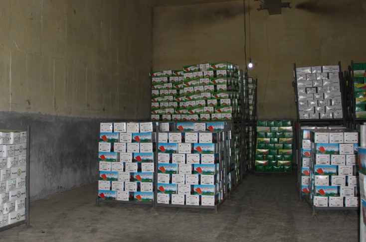 蘿卜保鮮冷庫安裝費用多少錢 蘿卜保鮮冷庫安裝費用多少錢