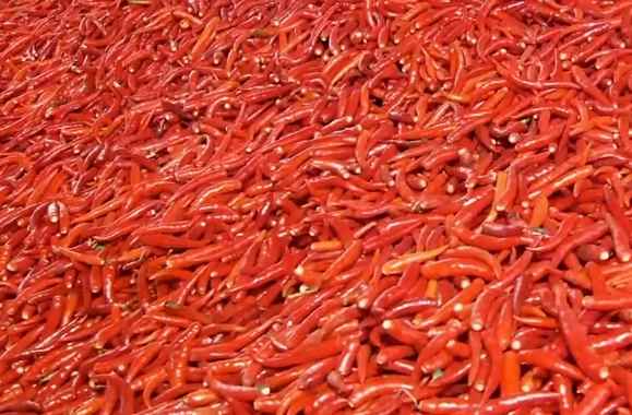 冷庫保鮮辣椒能保存多久 冷庫保鮮辣椒能保存多久