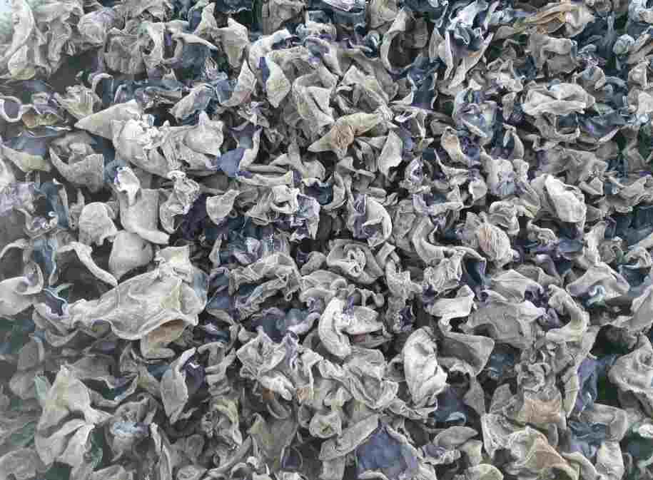 南京木耳保鮮冷庫(kù)安裝大概需要多少錢 南京木耳保鮮冷庫(kù)安裝大概需要多少錢