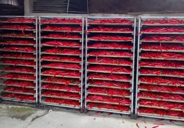 小米辣冷庫保鮮溫度大約多少度合適 小米辣冷庫保鮮溫度大約多少度合適