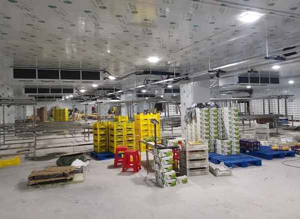 水果冷藏庫改造優化方案