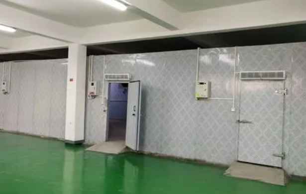 安裝一個急凍速凍冷庫要多少錢 安裝一個急凍速凍冷庫要多少錢