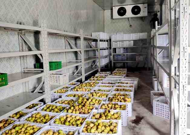 保鮮冷庫和冷藏冷庫的不同之處 保鮮冷庫和冷藏冷庫的不同之處