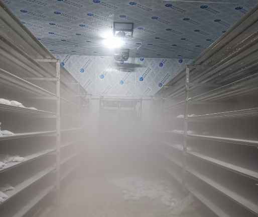 低溫速凍冷藏冷庫設計方案 低溫速凍冷藏冷庫設計方案