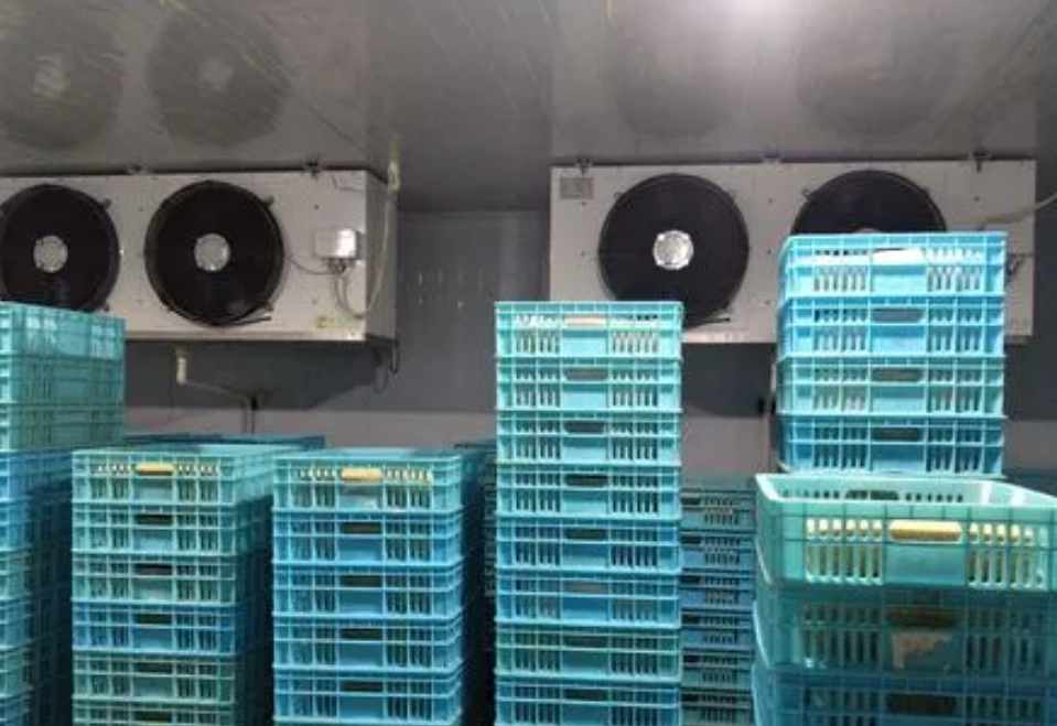 保鮮冷庫工程設(shè)計規(guī)范標(biāo)準要求