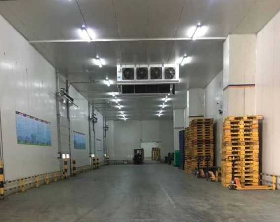 大型冷庫工程公司這么多,該如何選擇 大型冷庫工程公司這么多,該如何選擇