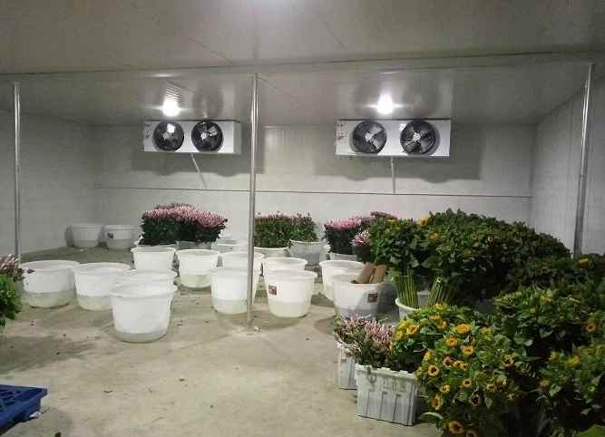 造一個450平米冷庫要多少費用 造一個450平米冷庫要多少費用