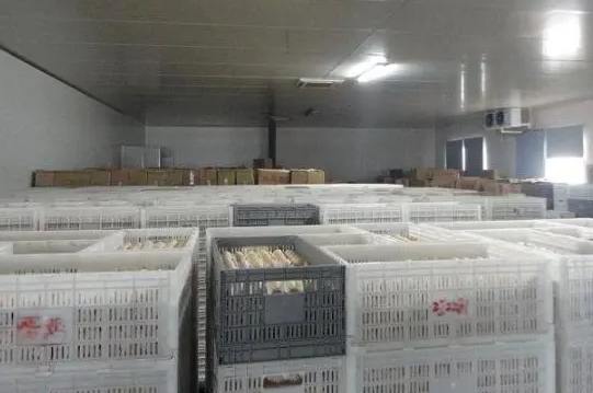 冷庫建設成本需要多少錢一平米