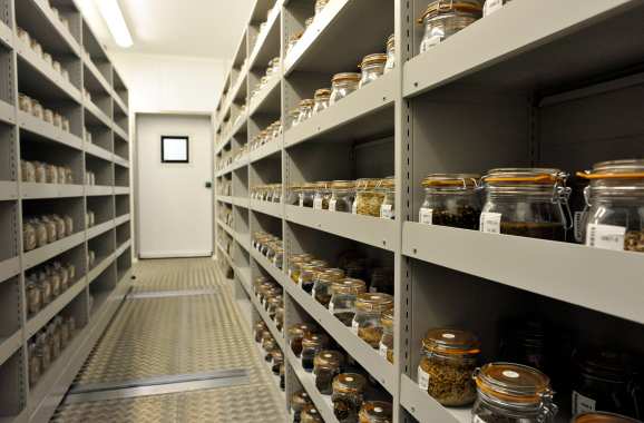 種子冷庫(kù)安裝注意哪些問題 種子冷庫(kù)安裝注意哪些問題