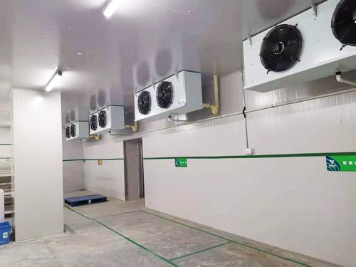 疫苗冷庫溫度 疫苗冷庫溫度