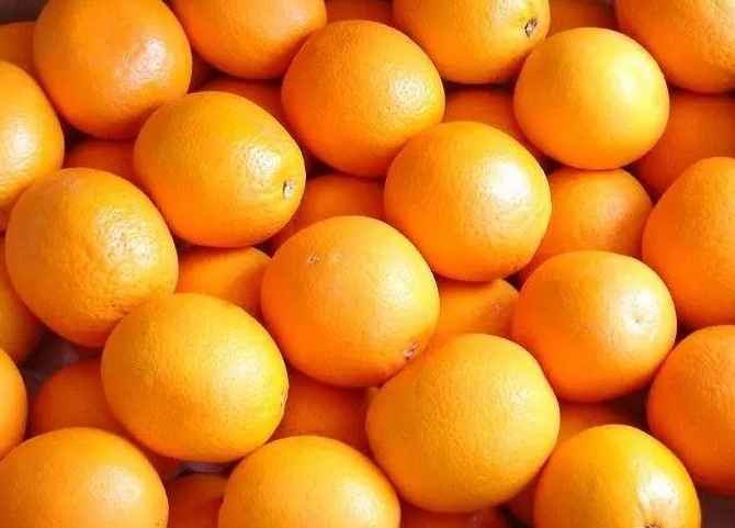 橙子氣調冷庫能保鮮多久