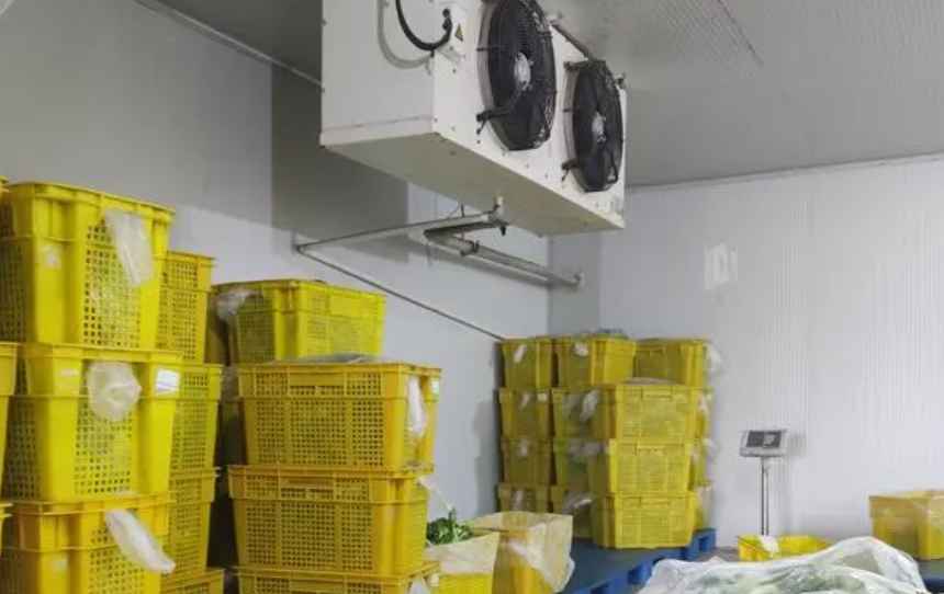 蔬菜保鮮冷庫建設方案及流程 蔬菜保鮮冷庫建設方案及流程