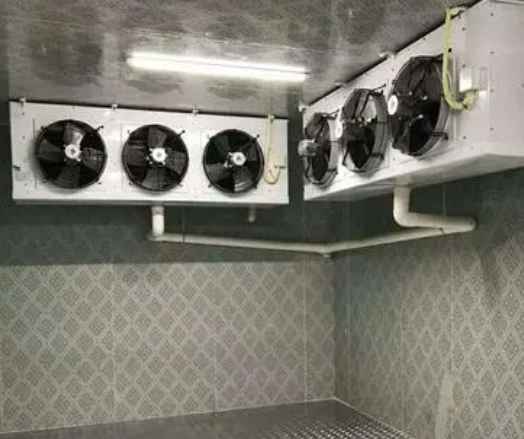 土豆冷庫儲存溫度是多少 土豆冷庫儲存溫度是多少