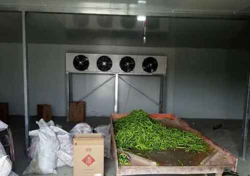 建300平方蔬菜冷庫需投資多少錢 建300平方蔬菜冷庫需投資多少錢