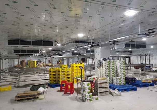 冷庫(kù)防火設(shè)計(jì)規(guī)范要求標(biāo)準(zhǔn)