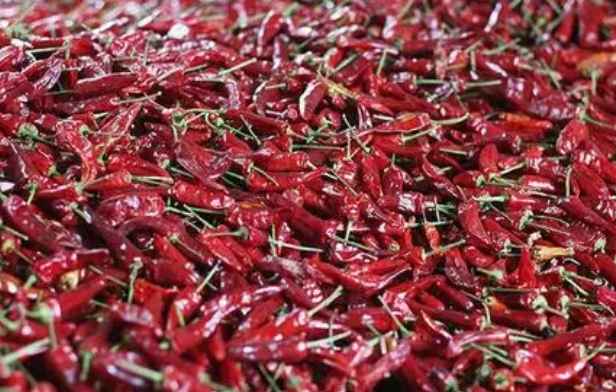 朝天椒冷庫儲存保鮮技術